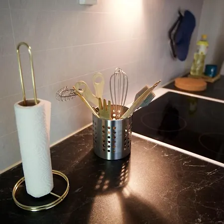 Modern דירה סבולבאר